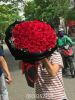 ic-flower-0918352258-19 - ảnh nhỏ  1